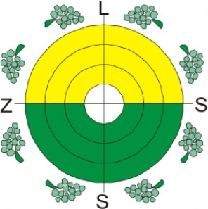 LZSS